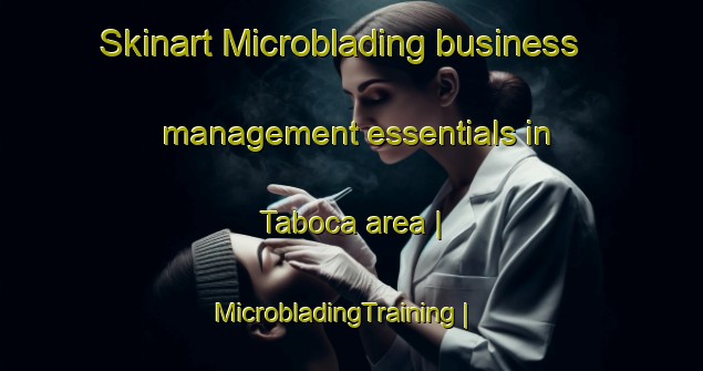 Skinart Microblading business management essentials in Taboca area | MicrobladingTraining | MicrobladingClasses | SkinartTraining-Brazil